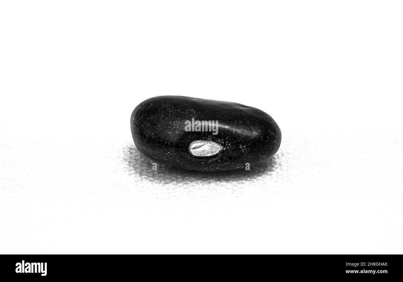 blkbeanz